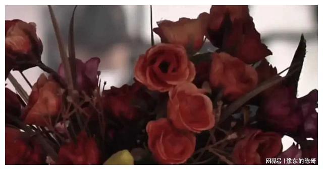 婚后二十年妻子闹离婚:连个驾照都考不出来家里什么都指望我(图5)