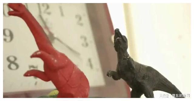 婚后二十年妻子闹离婚:连个驾照都考不出来家里什么都指望我(图8)