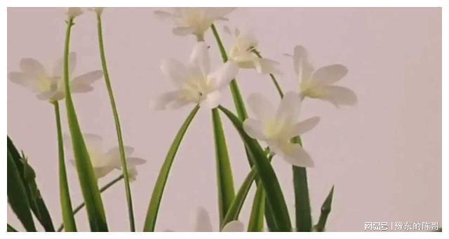 婚后二十年妻子闹离婚:连个驾照都考不出来家里什么都指望我(图9)