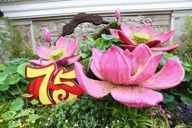 这28个荷花、睡莲品种赌你没见过!上海荷花睡莲展开启夏日赏花新体验新培育品种首次亮相(图10)