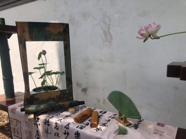 这28个荷花、睡莲品种赌你没见过!上海荷花睡莲展开启夏日赏花新体验新培育品种首次亮相(图8)