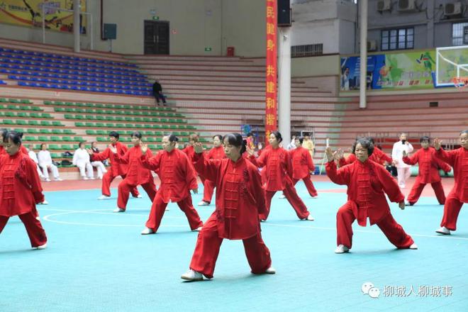 免费！每天30个名额！柳城人来不来？(图3)