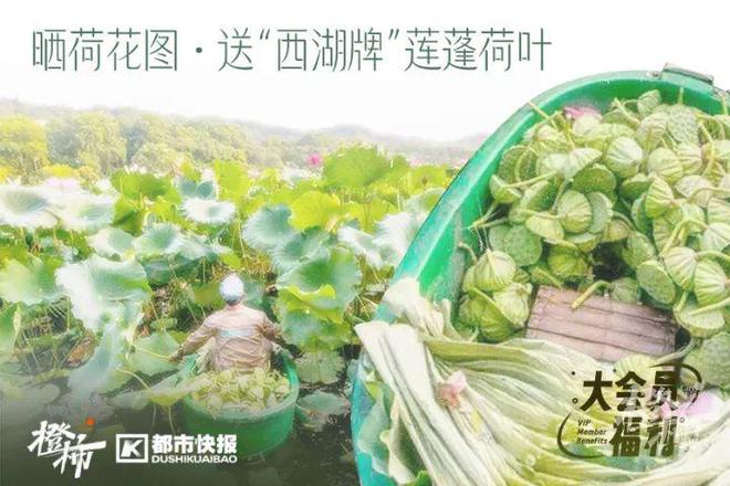 @你的音乐搭子100张门票橙柿送你去听七夕音乐会(图2)