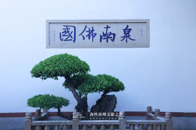 超出片！泉州这16处宝藏拍照打卡机位每一帧都惊艳！(图10)