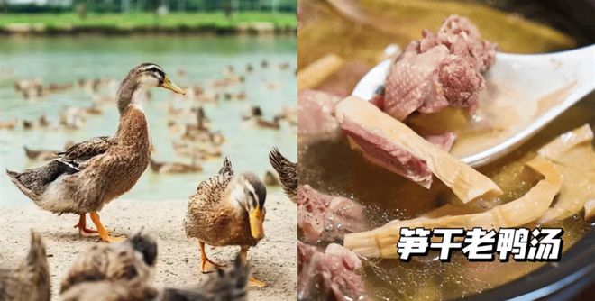 70年代老字号了！这家的流心奶黄月饼很实在礼盒装599元！(图7)