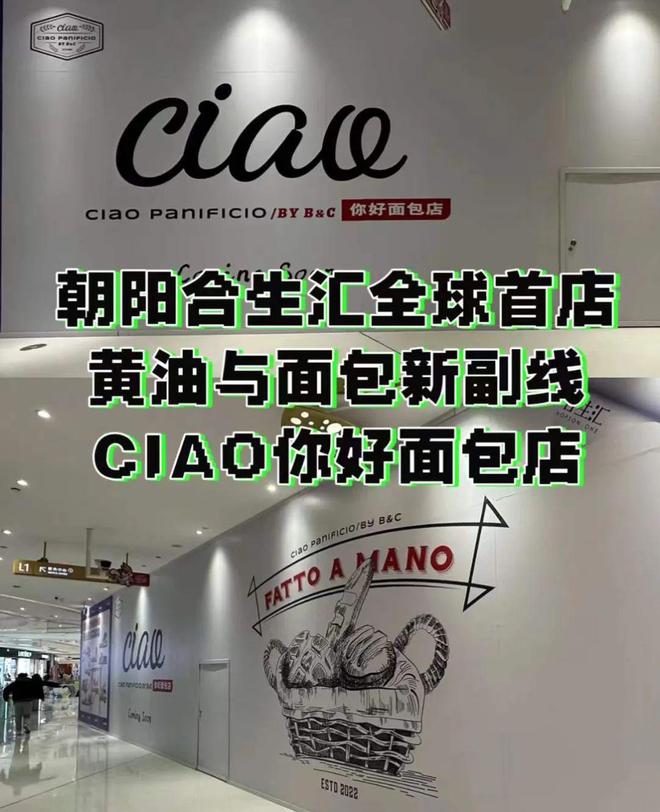 黄油与面包、FASCINO、烂李子这届人气烘焙品牌都在推副线(图11)