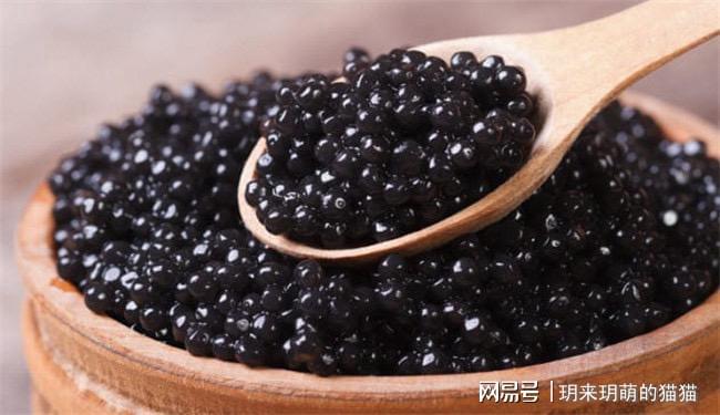 世界上十大奇特的蛋蜗牛居然也能产蛋！(图1)