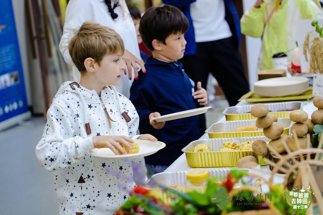 田里来了“外来客”观摩无人科技、学做中式点心、体验稻田艺术忙不停!(图3)