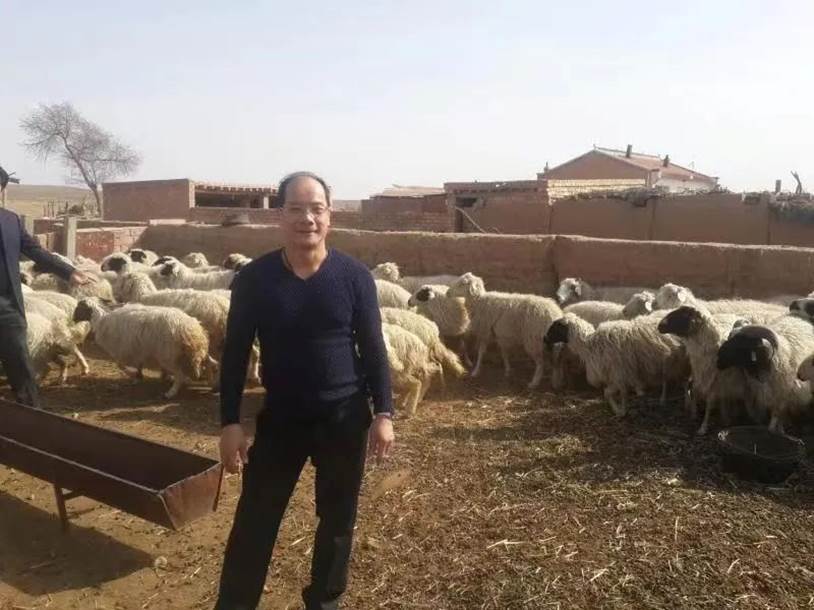 卢镜泉：从点心师到粤菜大厨终成一代烹羊专家(图5)