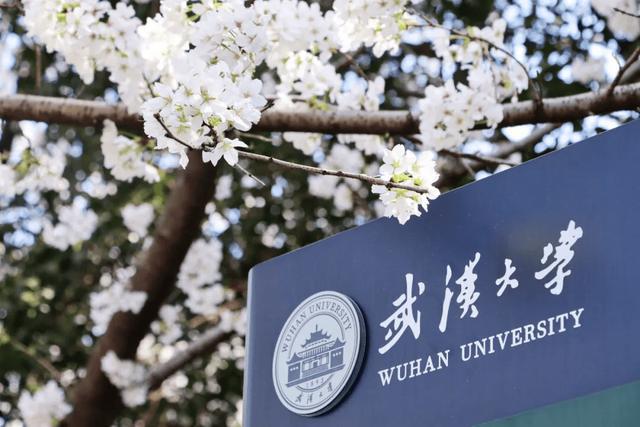 几天白练了武大学生给散步的校长分生日蛋糕校长的反应引热议(图6)