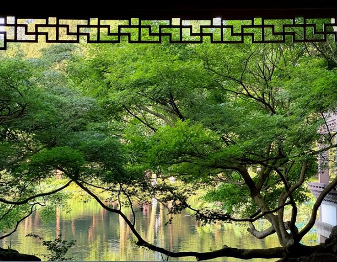 杭州旅游攻略及费用?杭州攻略四日游旅游团价格费用+亲身经历(图4)