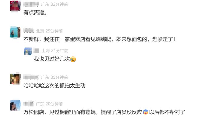 知名面包品牌被曝“老鼠乱窜”：属实！(图2)