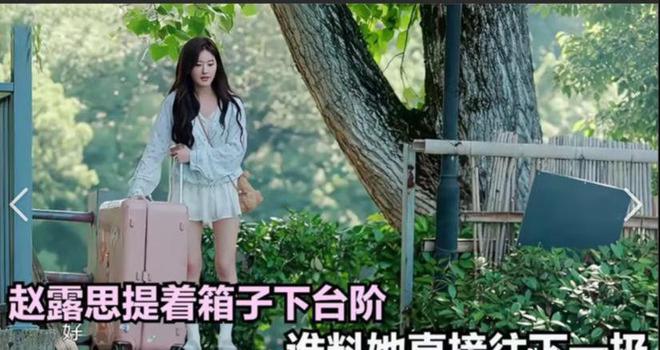 赵露思发文过元宵节和家人挂灯笼、分享自制甜品手写对联抢镜(图14)