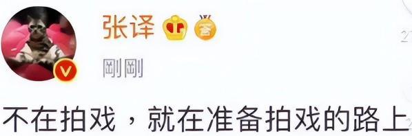片约不断却演啥毁啥这5位“戏混子”长点心吧别糊弄观众了(图9)