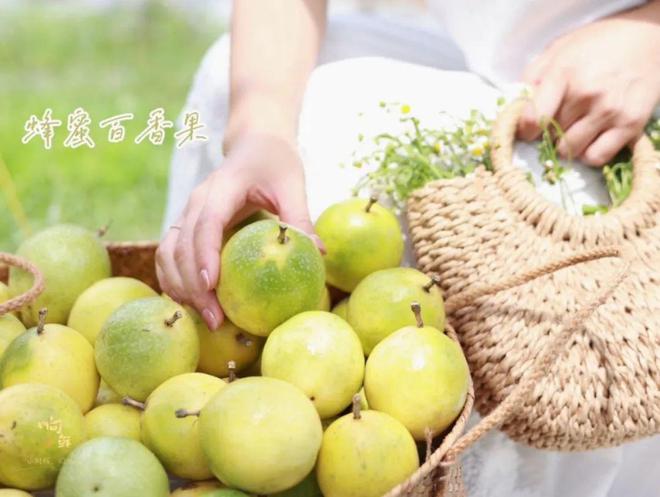 香气炸弹是什么样子？吃完这颗钦蜜9号蜂蜜黄金百香果连空气都是甜的！(图12)
