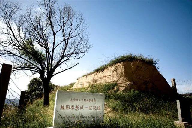 DeepSeek是真懂定西啊！(图12)