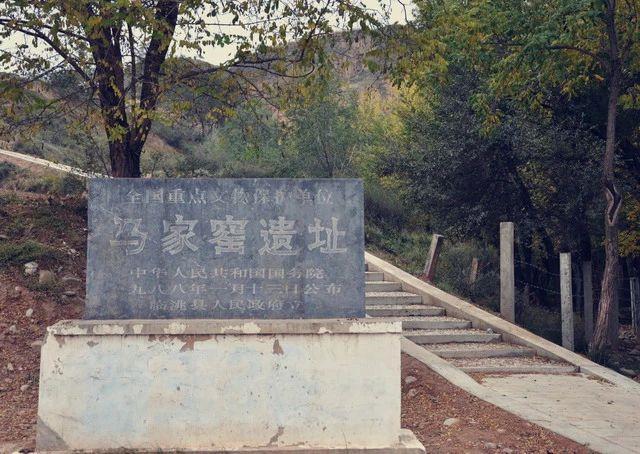 DeepSeek是真懂定西啊！(图11)