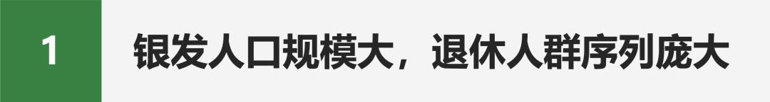 活力银发研究每年有2000万人退休时我们该如何把握银发经济(图6)