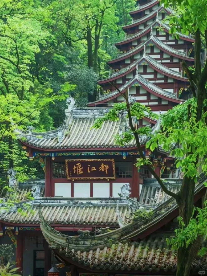 四川5天4晚跟团费用四川家庭游五天花费多少这么玩太省钱啦(图2)