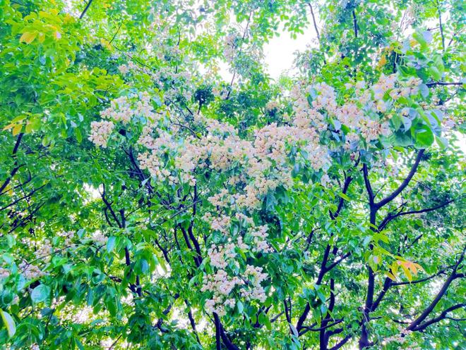 江阴：跟着央视再次认识TA们！(图10)