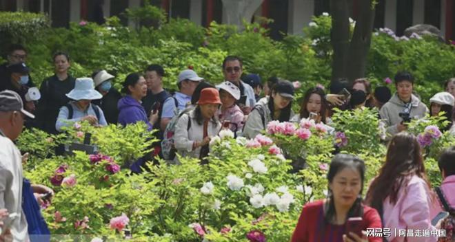 清明节小长假成绩单出炉11座城市游客破百万：你家乡上榜了吗(图28)