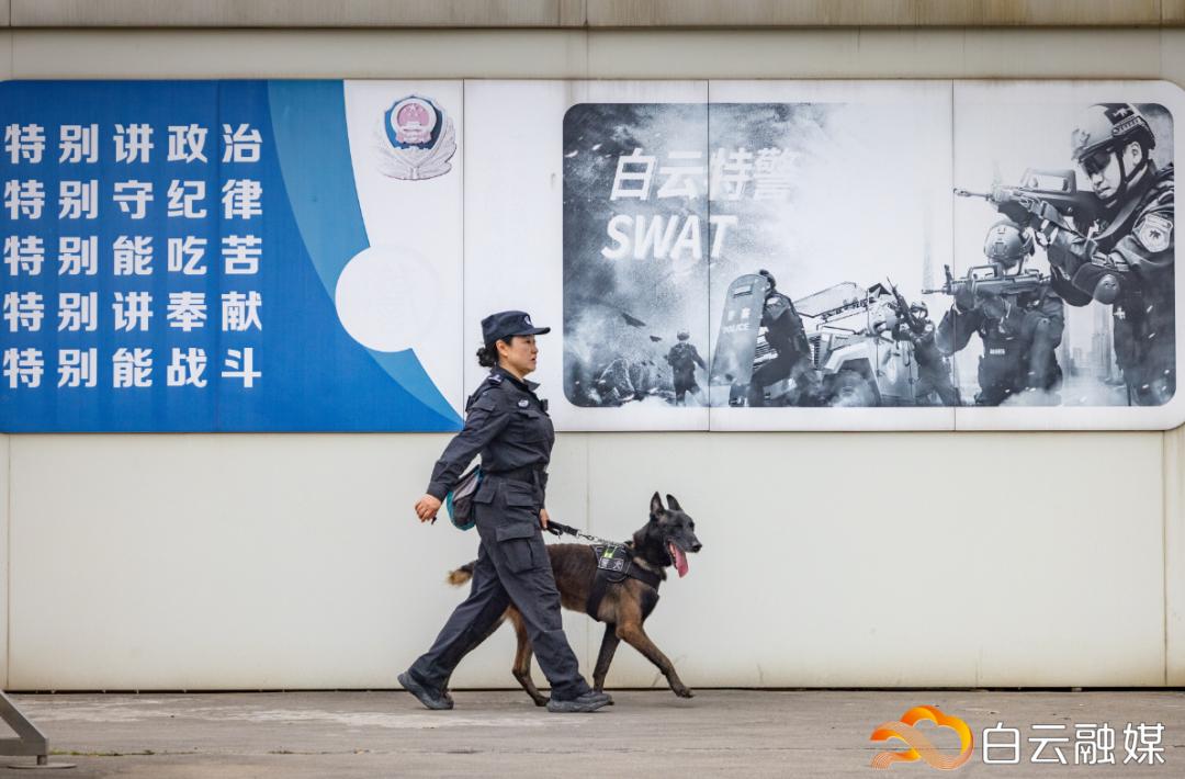 不被定义的她闪闪发光(图2)