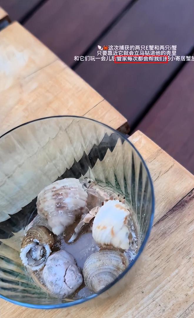 走心了？懒懒晒恋爱日常王思聪海滩上写爱懒懒抱着她海边拥吻(图6)