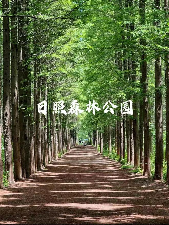 康养团来了！以银发为笔在日照写下六行诗(图6)
