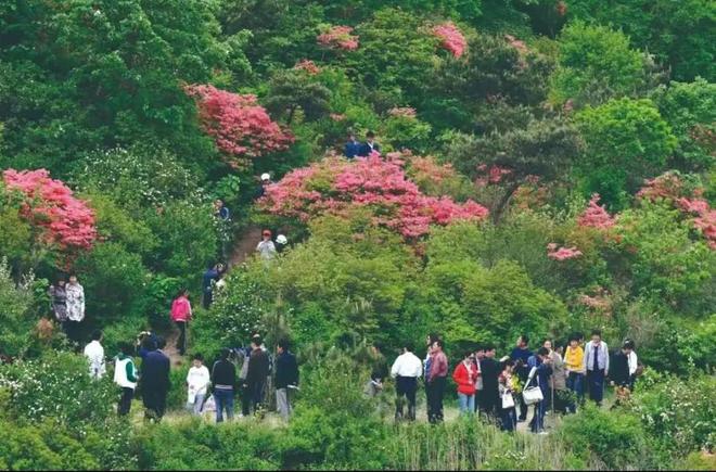 康养团来了！以银发为笔在日照写下六行诗(图5)