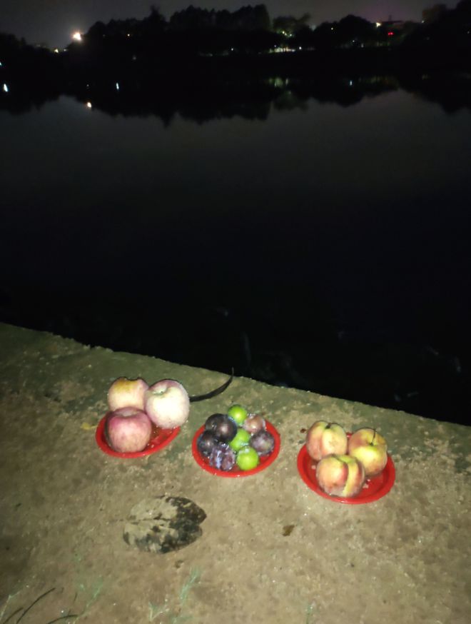 东莞周先生下班后夜钓江边发现三盘瓜果接下来的举动惊呆众人(图2)