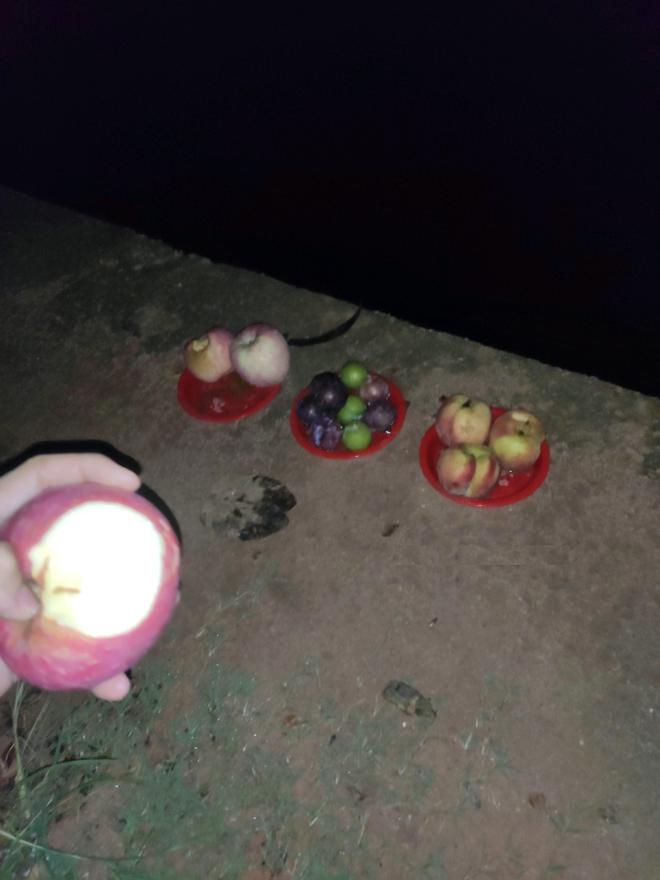 东莞周先生下班后夜钓江边发现三盘瓜果接下来的举动惊呆众人(图9)