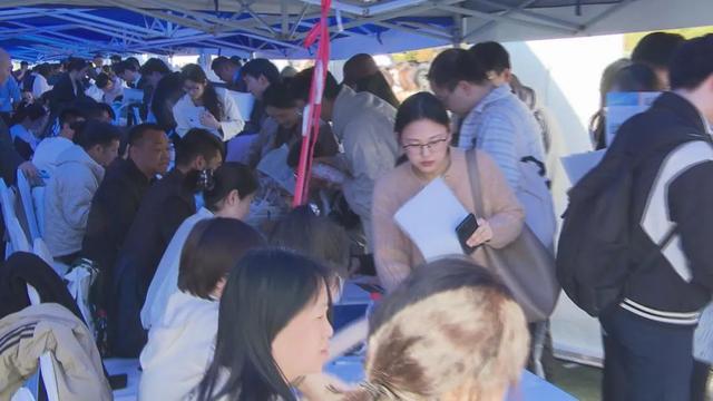 2025安徽高校毕业生专场招聘会火热开展(图6)