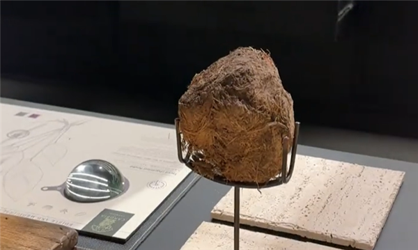 上海人均4千餐厅甜品是大象粪便！博主体验直言抽象到想退钱(图2)