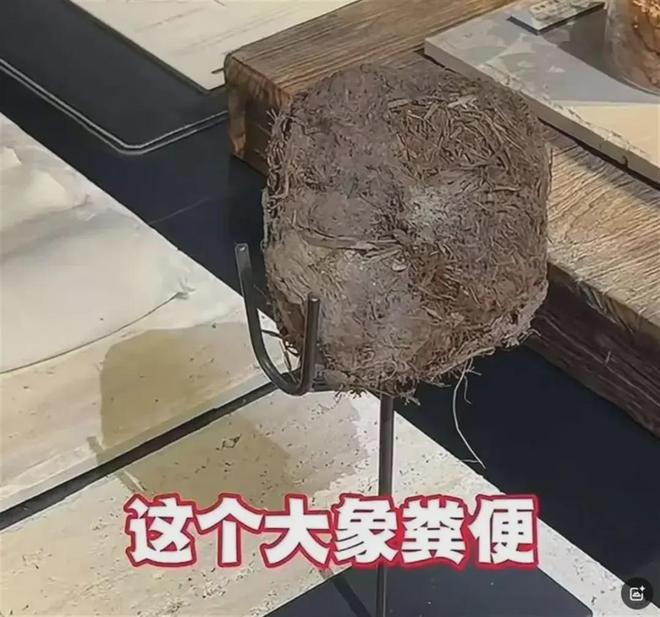 人均3888元！用大象粪便做甜品一餐厅被立案调查(图2)