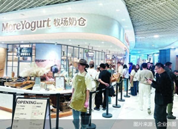 危机后瞄准高端茉酸奶如何冲出红海(图1)