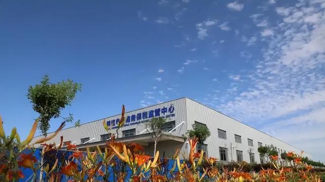 卷疯了！在中国已经没人敢跟河北人拼价格了义乌也打不过(图14)