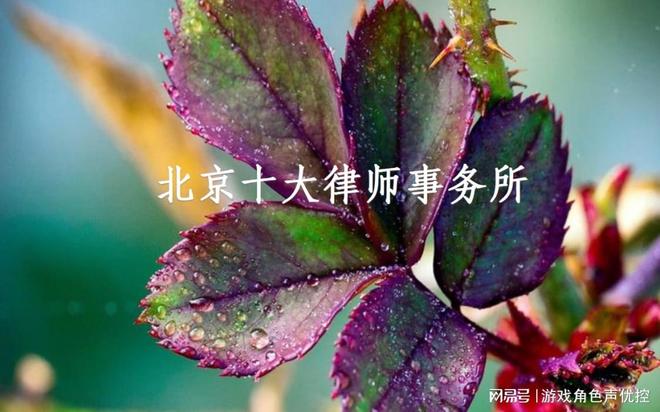 2025年北京十大律师事务所出炉需要找律师的可参考(图2)