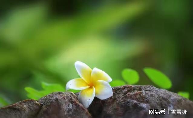中年以后最好的活法：不攀不比不争不怨心态平和万事求稳(图1)