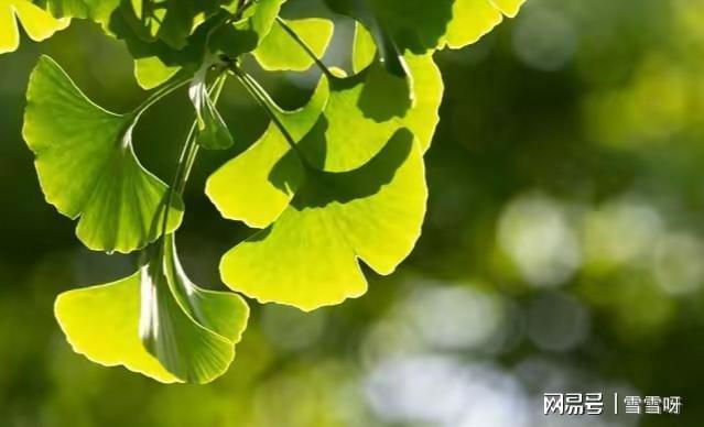 中年以后最好的活法：不攀不比不争不怨心态平和万事求稳(图3)