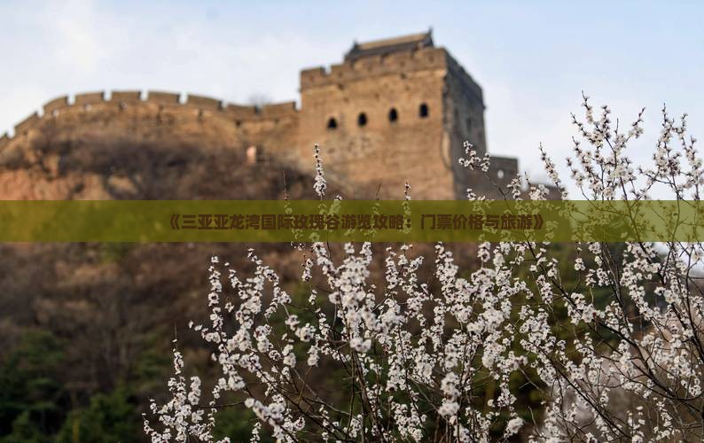 《三亚亚龙湾国际玫瑰谷游览攻略：门票价格与旅游(图2)