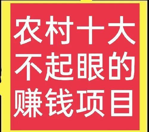 私人能接什么项目赚钱呢(图1)