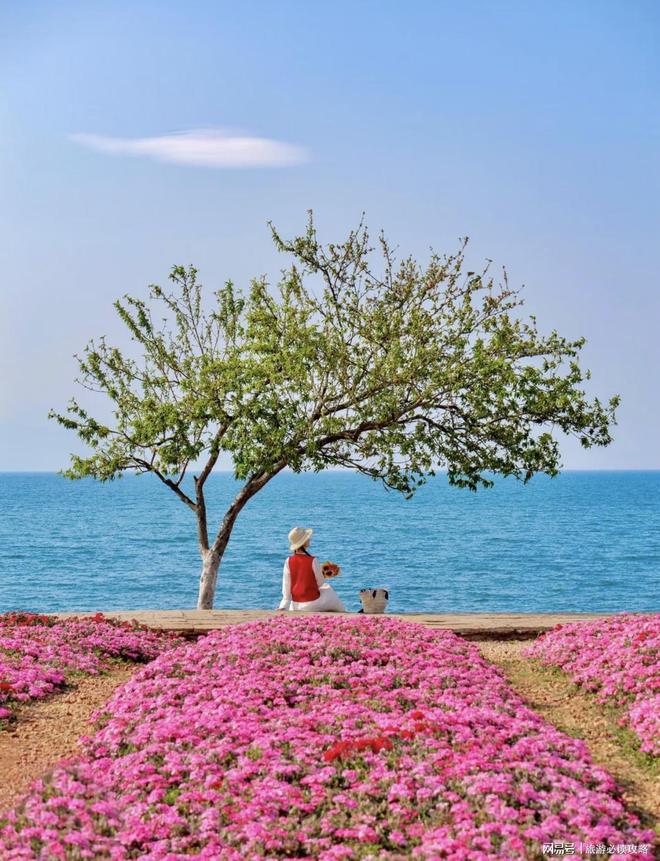 北海旅游哪家好北海旅游纯玩团四天三晚游玩攻略(图2)
