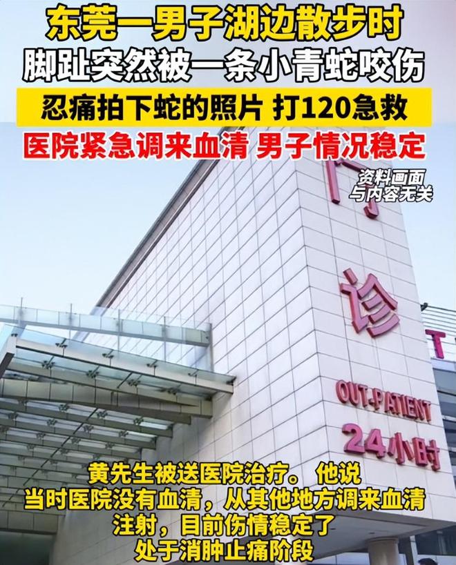 广东男子散步被毒蛇咬伤淡定拍照去医院网友：三亚女孩死真冤(图7)
