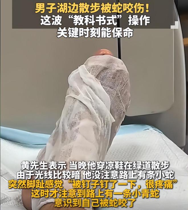 广东男子散步被毒蛇咬伤淡定拍照去医院网友：三亚女孩死真冤(图4)