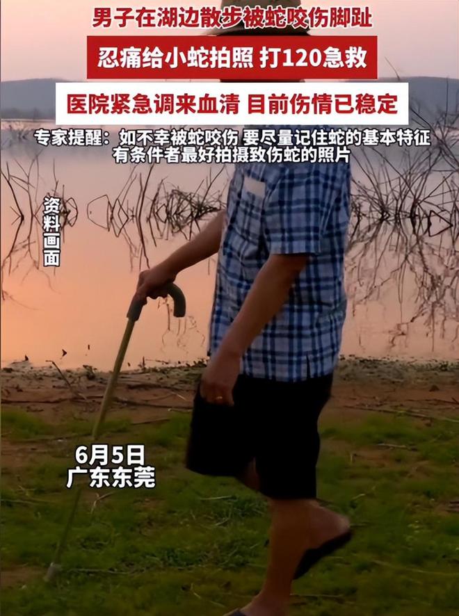 广东男子散步被毒蛇咬伤淡定拍照去医院网友：三亚女孩死真冤(图5)