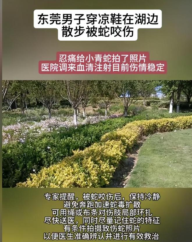 广东男子散步被毒蛇咬伤淡定拍照去医院网友：三亚女孩死真冤(图8)