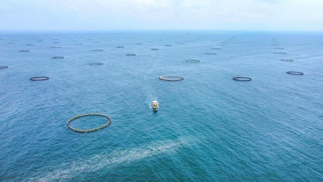 爱TA就请TA吃广东海鲜！“广东鲜品”上海品鉴来了(图9)