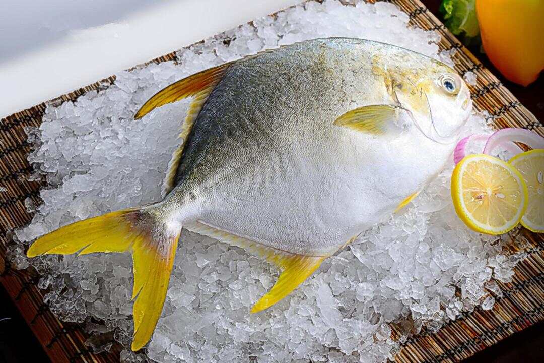 爱TA就请TA吃广东海鲜！“广东鲜品”上海品鉴来了(图10)