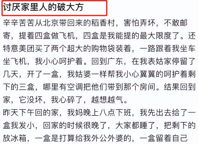 一盒“稻香村”点心揭开了父母的穷认知难怪孩子不爱带礼物了(图3)