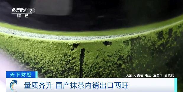 国产抹茶出口内销两旺2025年产量将超5000吨(图3)
